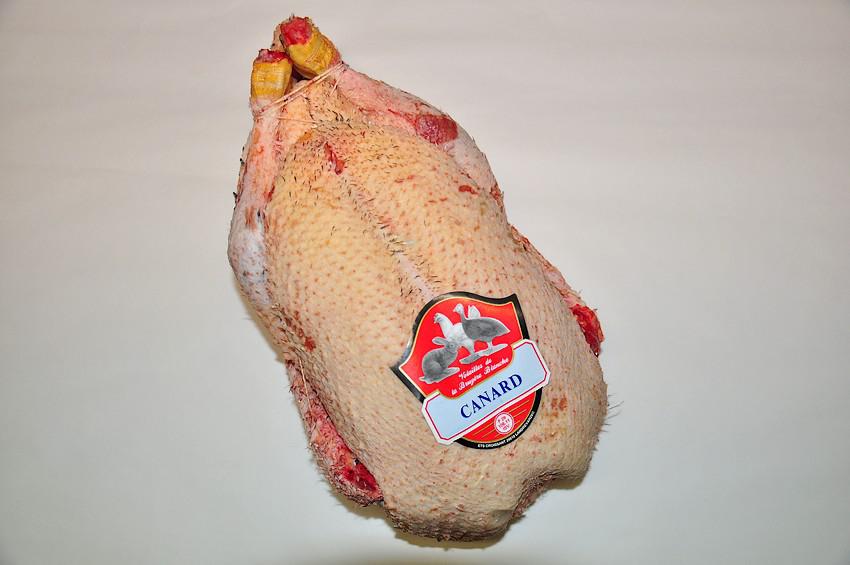 Canard
