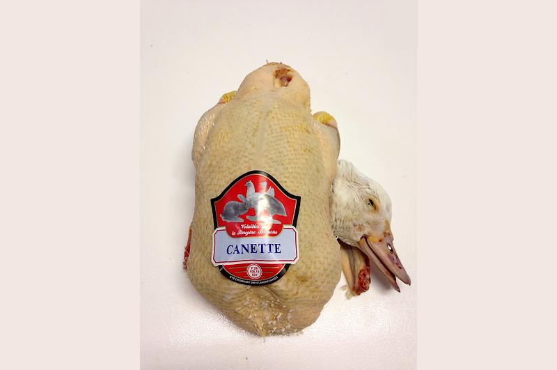 Canette