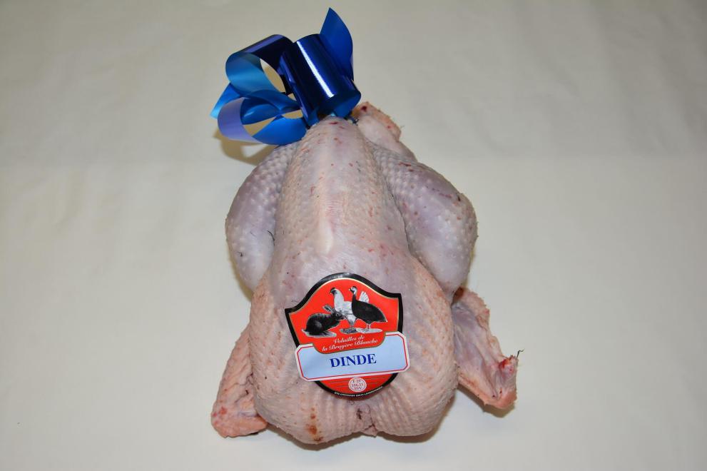 Dinde de Noël