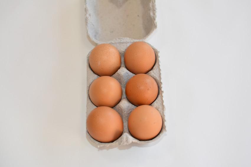 Gros oeuf de poule de plein air