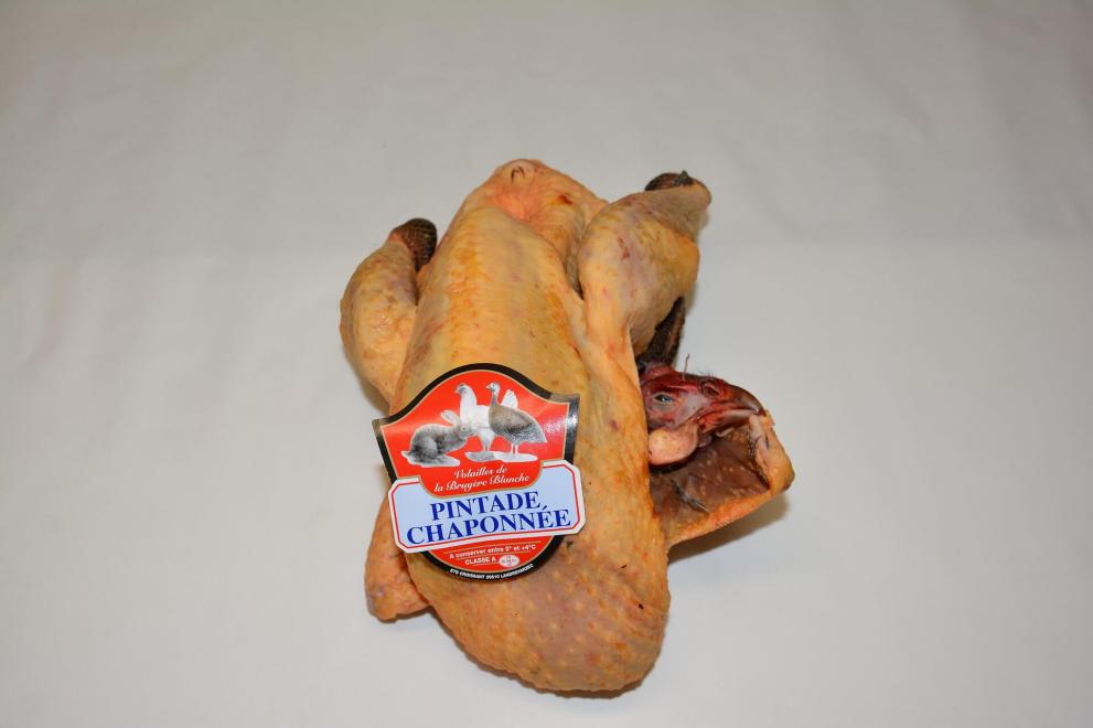 Chapon de pintade