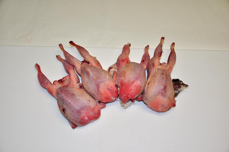 Caille entière Caille entière