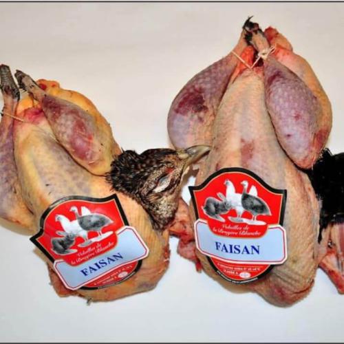Faisans transformés