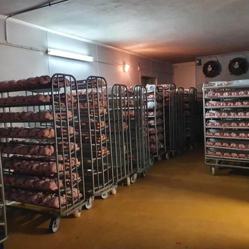 Les volailles sont abattues sur place